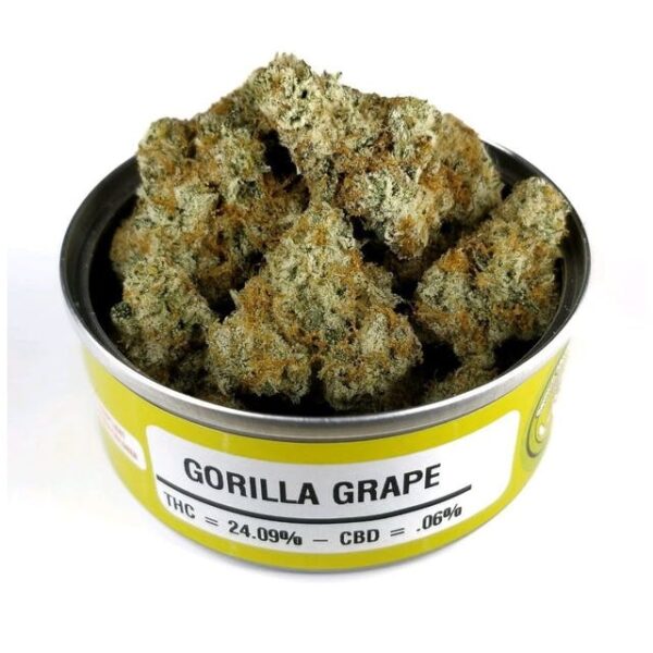 Buy Gorilla Grapes Strain