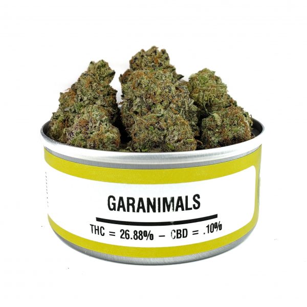 Buy Garanimals Strain
