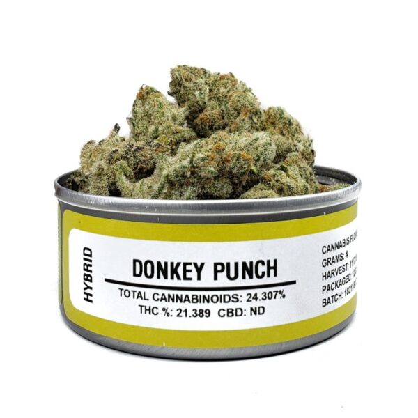 Buy Donkey Punch Strain