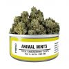 Buy Animal Mints Strain