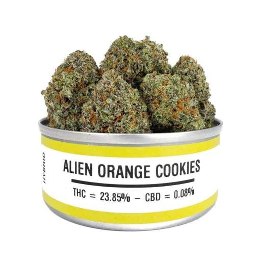 Buy Alien Orange Cookies