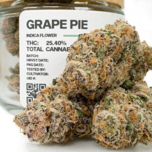 Buy Grape Pie Strain