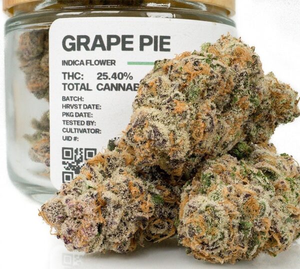 Buy Grape Pie Strain