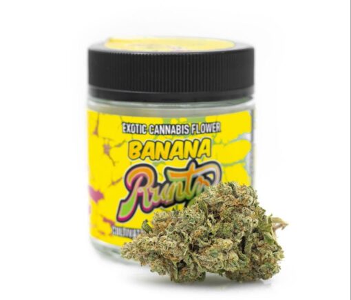 Buy Banana-Runtz Strain