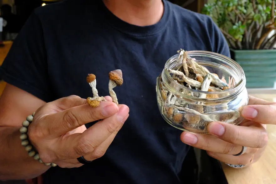 Buy High-Quality Shrooms Online