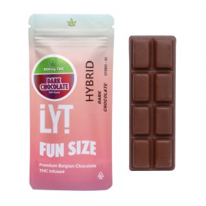 Dark Chocolate Fun Size 800mg