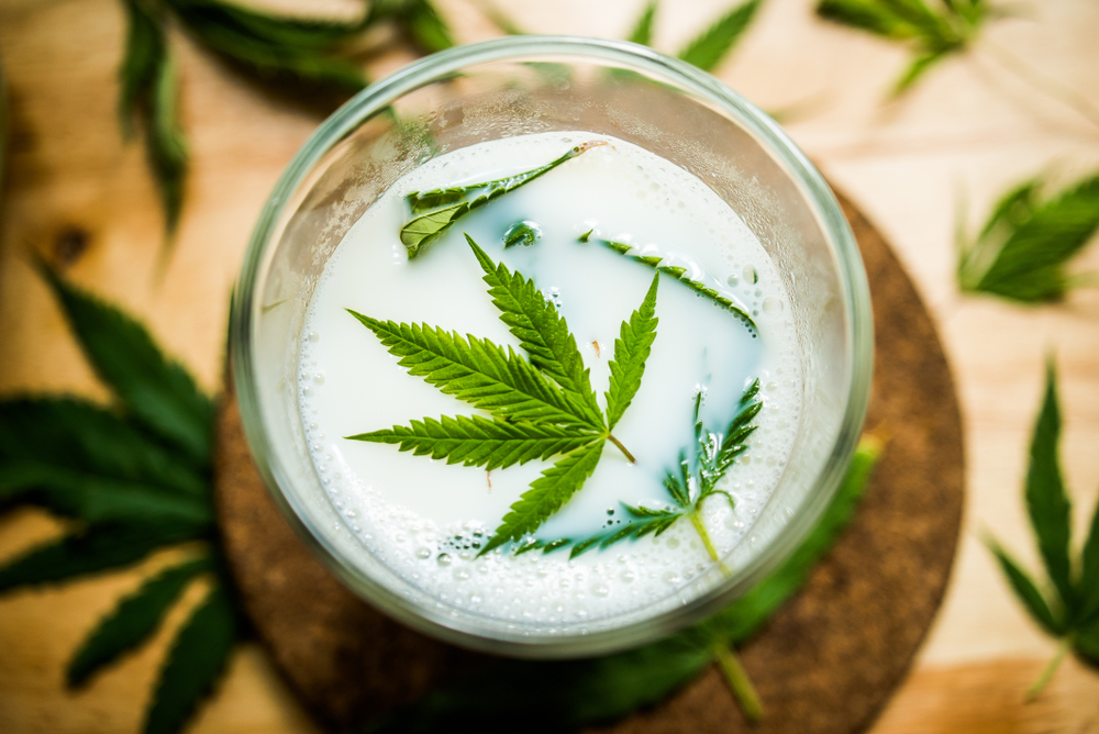 How to Make Cannabis Milk